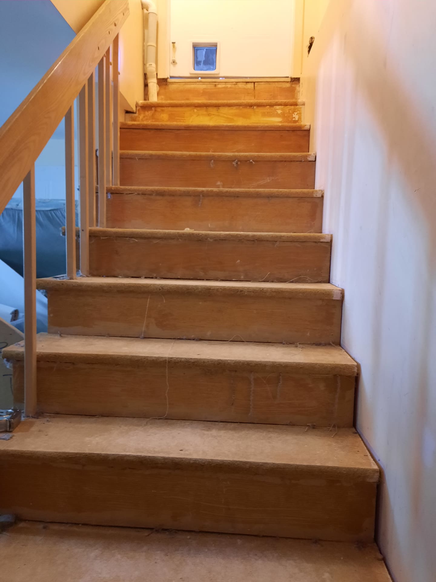 Escalier de bois intérieur, contremarches assorties